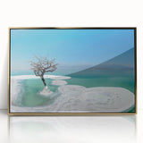 Framed acrylic print of the Dead Sea with golden hues, ideal for modern art wall decor.