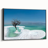 Black and white framed canvas of the Dead Sea landscape, ideal for bedroom wall art in a vintage poster style.