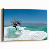 Framed canvas depicting the Dead Sea landscape in muted gold and black tones, suitable as wall art for a bedroom.