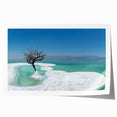 Extra large rolled print of the Dead Sea with muted blue and beige tones, ideal for art wall dining room.