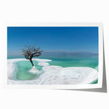 Extra large rolled print of the Dead Sea with muted blue and beige tones, ideal for art wall dining room.