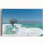 Black and white photograph of the Dead Sea, printed on large stretched canvas, suitable for kitchen art.