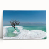 Black and white stretched canvas featuring the Dead Sea landscape, ideal for kitchen wall art or bedroom ambiance.