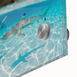 Large abstract wall art of Tahiti's coastline in muted blues and greens on acrylic glass, ideal for dining room ambiance.