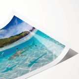 Extra large wall art featuring line art flowers in soft pastel shades on a rolled print, ideal for large living room decor.