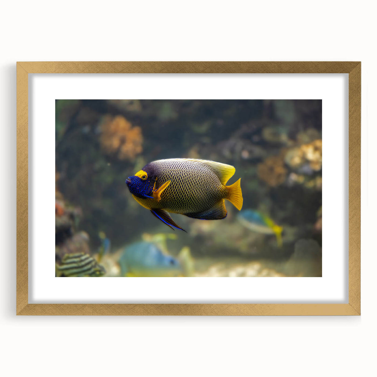 Extra large abstract art print of Micronesian scenery in textured style with gold frame, ideal for living room decor.