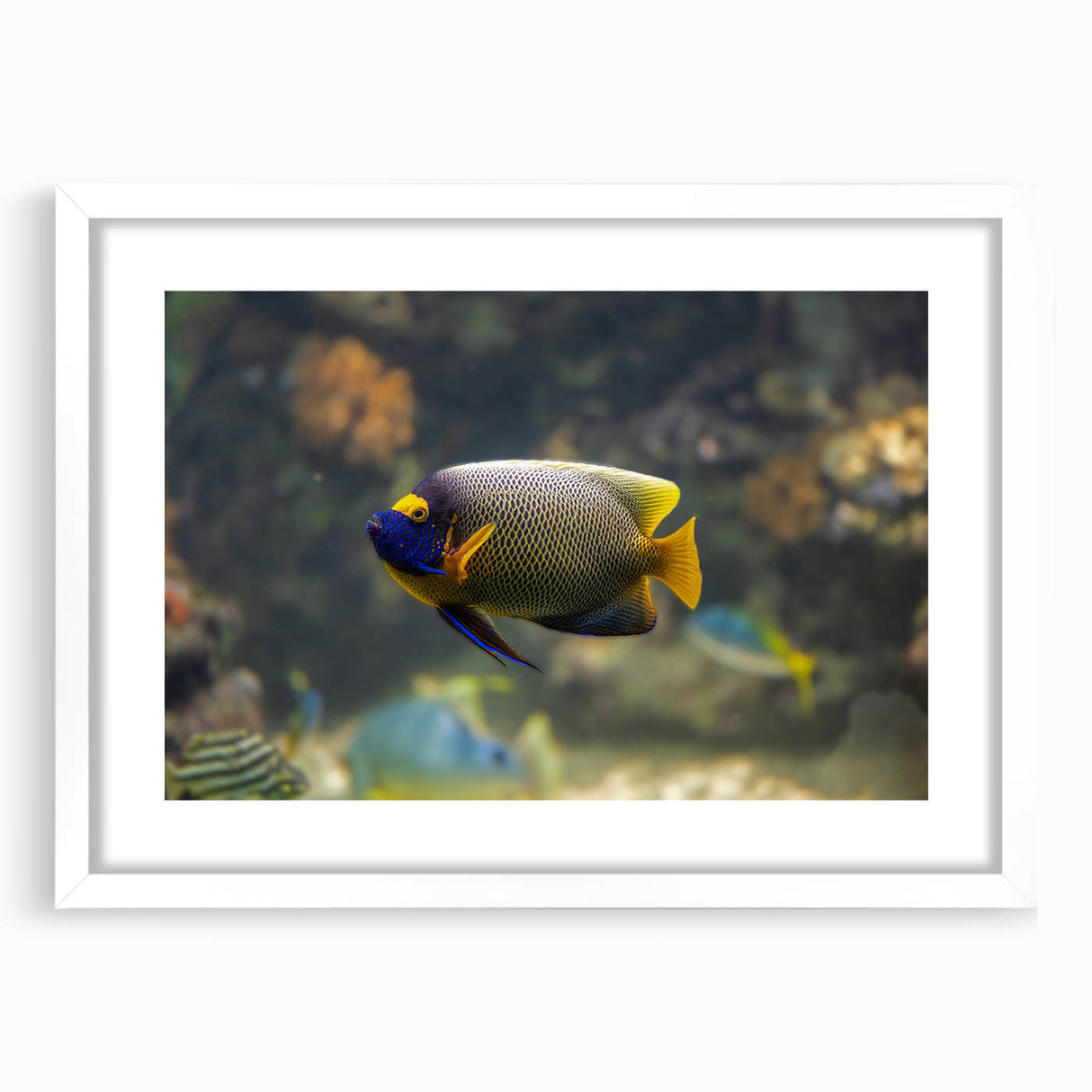 Abstract art print of a serene Micronesian seascape in cool blue tones, framed with a white mat.