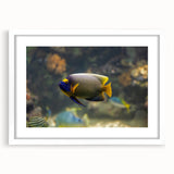 Abstract art print of a serene Micronesian seascape in cool blue tones, framed with a white mat.