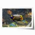 Extra large rolled print featuring a serene Micronesian oceanic scenery with vivid blue and green tones.