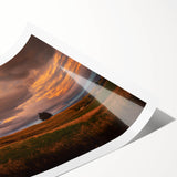 Extra large rolled print of line art flowers in muted earth tones, ideal for large living room wall art.