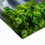 Black and white landscape art painting of a Brazilian scenery on stretched canvas, suitable for bedroom decor.