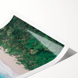 Extra large wall art featuring line art flowers in vibrant colors on a rolled print, ideal for large living room decor.