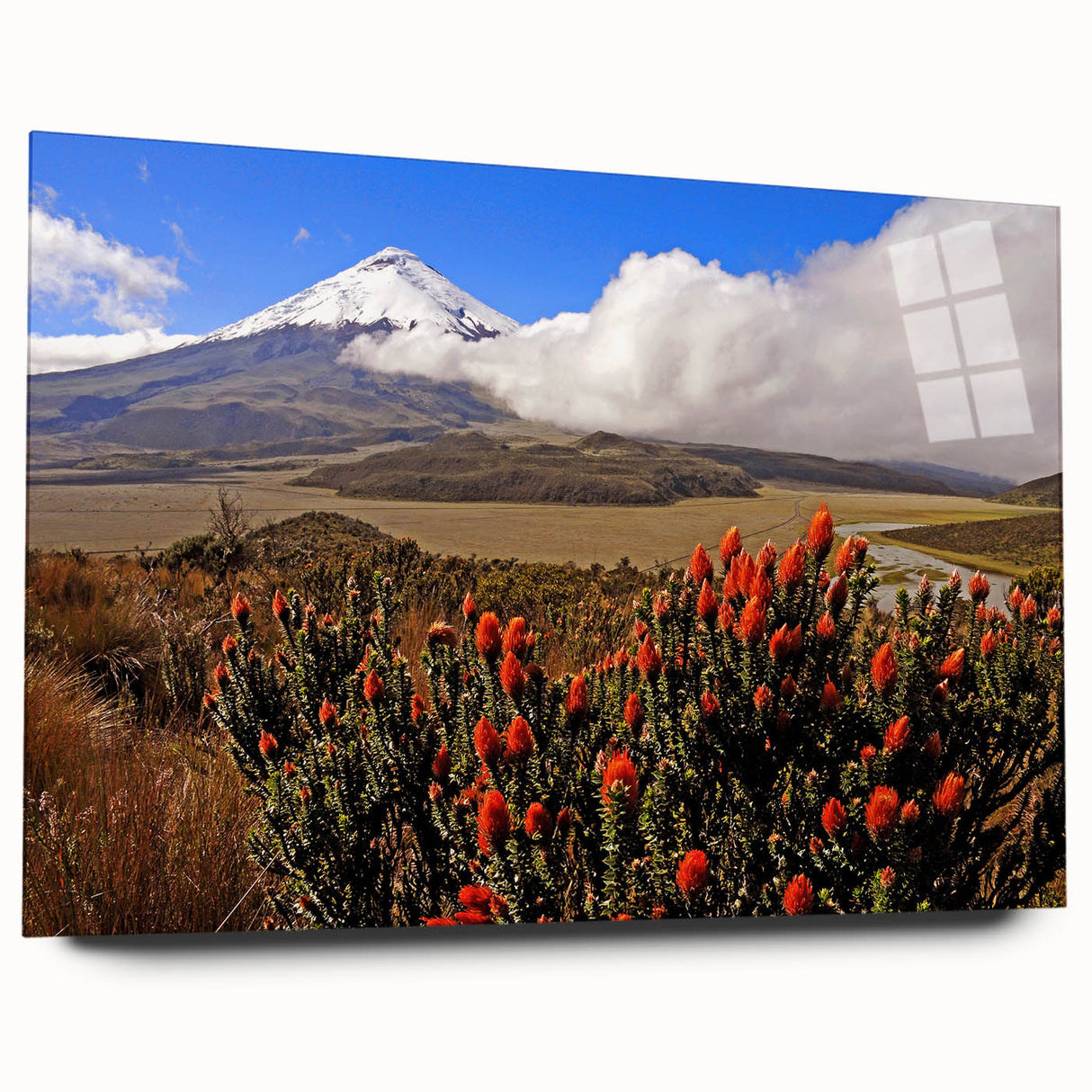 Large abstract wall art depicting a vibrant South American landscape on acrylic glass.