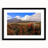 Extra large abstract art print of vibrant South American scenery, in a black frame with a mat.