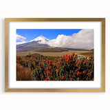 Extra large abstract art print of a textured South American landscape, in gold frame with mat, ideal for living room decor.