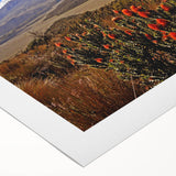 Art deco poster featuring a vibrant Ecuadorian landscape on rolled canvas, ideal for dining room wall art.