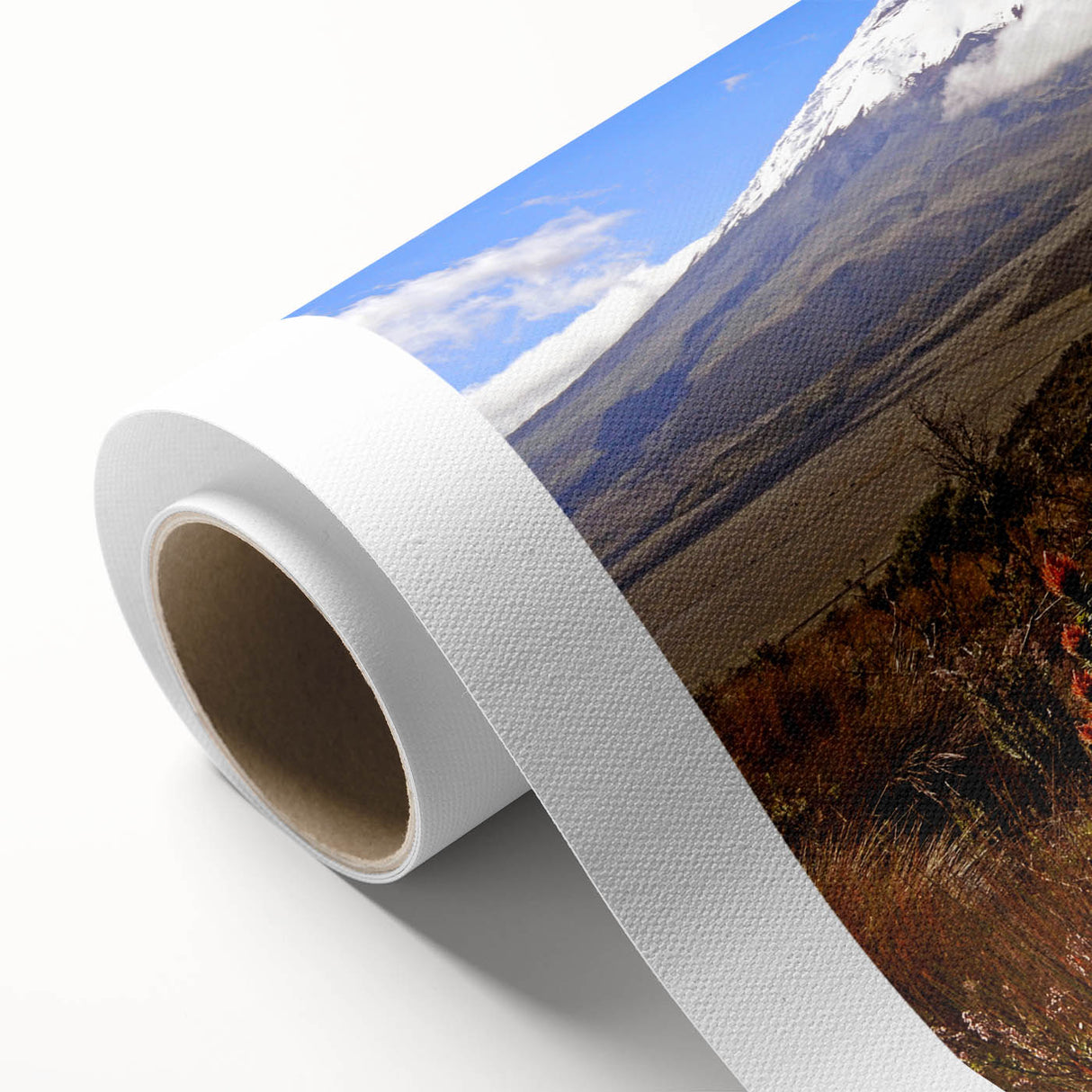 Art deco poster of a South American landscape in muted earth tones on rolled canvas, ideal for nursery wall art.