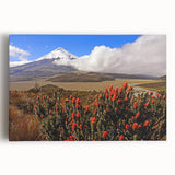 Black and white photograph of Ecuadorian landscape on stretched canvas, ideal for kitchen wall art.