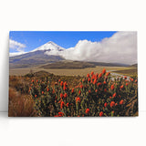 Large black and white stretched canvas featuring a scenic Ecuador landscape, ideal for kitchen wall art or bedroom ambiance.