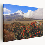 Large canvas print of an Ecuadorian landscape in muted green and brown tones, suitable for kitchen wall art.