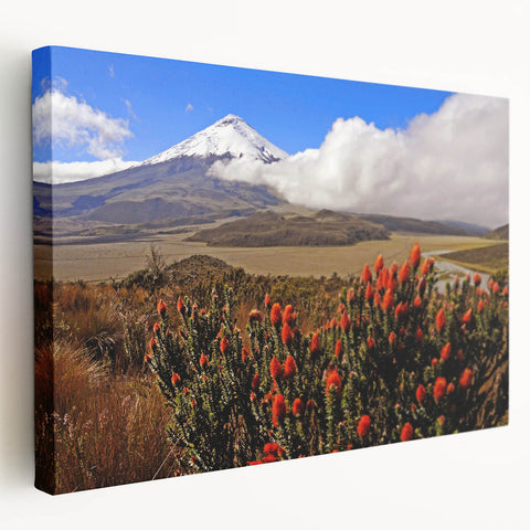 Large canvas print of an Ecuadorian landscape in muted green and brown tones, suitable for kitchen wall art.