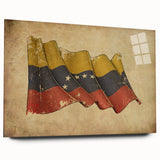 Acrylic glass print of a large abstract depiction of a Venezuelan landscape, in earthy tones.