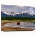 Acrylic print of a serene Alaskan landscape in muted earth tones, ideal for bedroom or dining room decor.