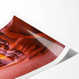 Extra large rolled print of line art flowers in muted earth tones, ideal for large living room wall art.