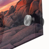 Large abstract depiction of Joshua Tree on acrylic glass in mid-century modernist style, suited for dining room art.