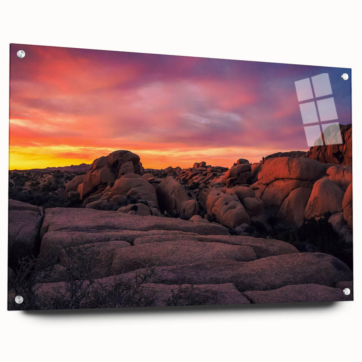 Acrylic print of Joshua Tree in California featuring earthy tones, ideal for bedroom or dining room decor.
