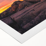 Art deco poster of Joshua Tree in muted earth tones on rolled canvas, suitable for dining room decor.