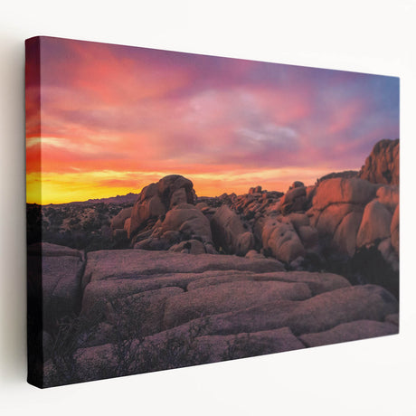 Joshua Tree landscape on large stretched canvas, featuring earthy tones and a minimalist style.