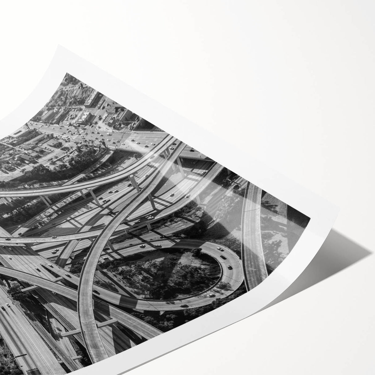 Extra large rolled print of line art flowers in black and white, ideal for large living room wall art.
