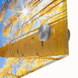 Large abstract wall art featuring Aspen scenery in muted earth tones on acrylic glass, suitable for dining room ambiance.