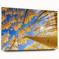 Acrylic print of Aspen, Colorado scenery in muted autumn hues, ideal for dining room decor.