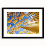 Extra large abstract art print of Aspen scenery in vibrant, colorful hues on a textured canvas, framed in black.