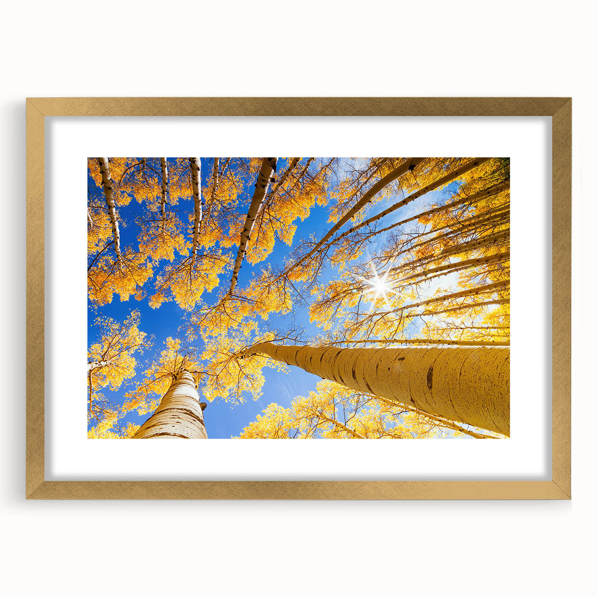 Extra large abstract art print of Aspen scenery in textured gold frame, ideal for living room decor.