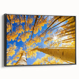 Black and white framed canvas of Aspen landscape, ideal for bedroom wall decor.