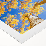 Art deco poster featuring Aspen, Colorado landscape on rolled canvas, with muted earth tones, ideal for dining room wall art.