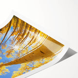 Extra large wall art featuring line art flowers in muted tones on a rolled print, suitable for large living room decor.