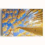 Black and white photograph of Aspen trees on stretched canvas, ideal for kitchen wall art.