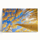 Black and white photograph of Aspen trees on stretched canvas, ideal for kitchen wall art or bedroom ambiance.