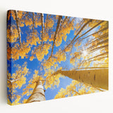 Autumnal aspen forest landscape on large stretched canvas, featuring yellow and gold tones, ideal for kitchen wall art.
