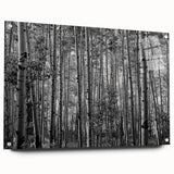 Acrylic print of Telluride, Colorado scenery in muted earth tones, ideal for bedroom or dining room decor.