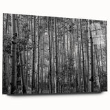 Large abstract wall art of Telluride, Colorado scenery in acrylic print, featuring earthy tones.