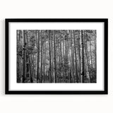 Extra large abstract art print of Colorado's Telluride landscape, featuring vibrant.