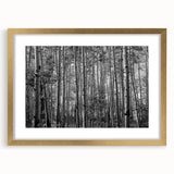 Extra large abstract art print of a textured Telluride, Colorado scenery in muted earth tones, framed in gold.