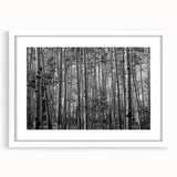 Abstract art print of Telluride, Colorado, featuring monochrome shades, framed in white, suitable for dining room ambiance.