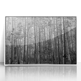 Art deco poster featuring Telluride, Colorado landscape in muted earth tones on a white framed acrylic.