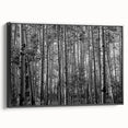Black and white wall art depicting the Telluride, Colorado landscape on a framed canvas, suitable for bedroom decor.